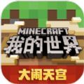 迪哥闯世界