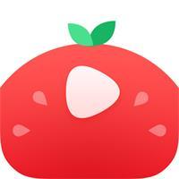 番茄视频交友社区app