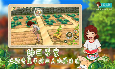 小森生活腾讯版